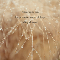 Thirst [naviarhaiku031 - Waking up to rain]
