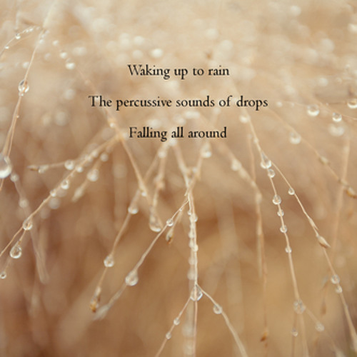 Thirst [naviarhaiku031 - Waking up to rain]