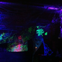 Project Nemesis Live @ Private Dancer Vol. 3 (02.08.14)