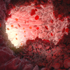 Funk is in the blood