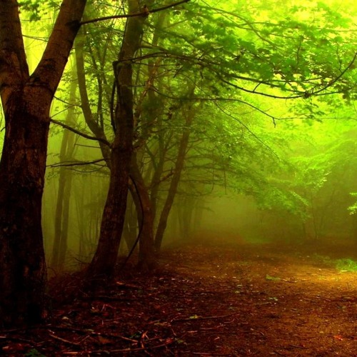 Haze-Demo
