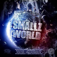 SELECTASMALLZ - #SMALLZWORLDMIXCD - Dancehall Mix Cd