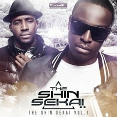 DJ - SKYMOZE ( The Shin Sekai Erreur Du Passé ) Reggae - APETAHI PROD'z