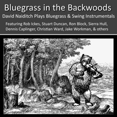 Bluegrass in the Backwoods