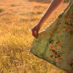 O Rumo - Felippe Lau