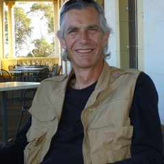 Tony Baylis - Australian Magpie (Cracticus tibicen)