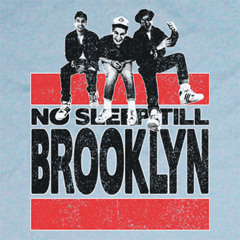The Beastie Boys - No Sleep Till' Brooklyn(Party Ghost Remix)