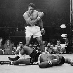 Everybody Wants The Girl