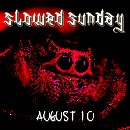 NEW RELEASES FOR THE WEEK OF AUGUST 10TH
