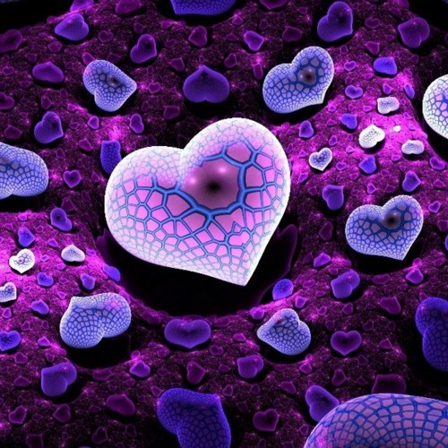 Projekt Rauschklang Psy-Trance Set 08.2014