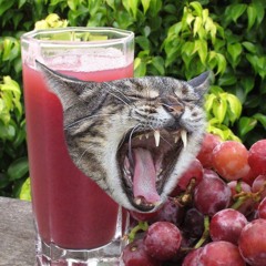 triscuits & grape juice
