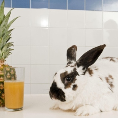 Stream Pineapple Bunny by Cw!z Listen online for free on SoundCloud