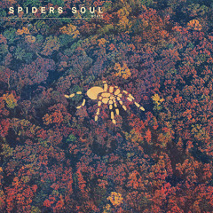 Spiders Soul