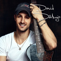 Old Love - Eric Clapton cover by: David DiMuzio