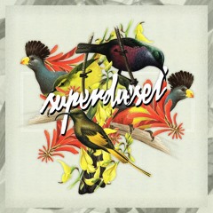 Mike Tohr @ Superdiesel / Warm up before RECONDITE