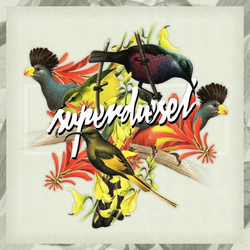 Mike Tohr @ Superdiesel / Warm up before RECONDITE