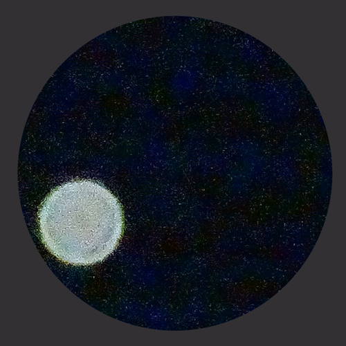 Entropie - néguentropie