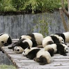 Need Chilled Out