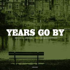 BiG AL feat.Amalia - Years Go By (Moti Brothers Remix)