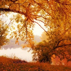 Indian Summer