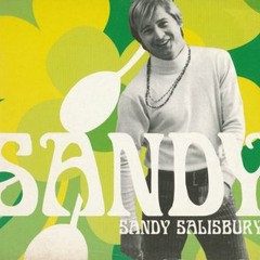 Sandy Salisbury - Warm of August