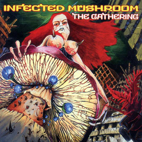 Infected Mushroom - Montoya (Shulbert Tribute)