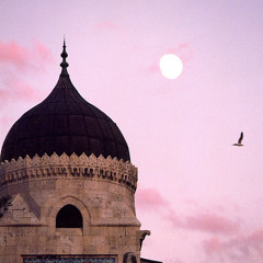 و من عليه لكشف الضر أعتمد أشكو اليك أموراً انت تعرفها * * ما لي على حملها صبر ولا جلد