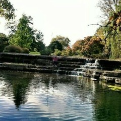 Like a jungle (LAST VERSE IS ME)