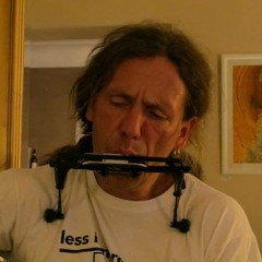 Schwarze Kraehen blaue Stunden