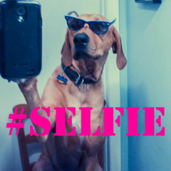 #Deh Squad-Selfie Riddim! New Chune!#QahYouMuziQ!