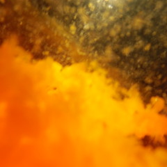 Iteration - Dance of imaginary 2