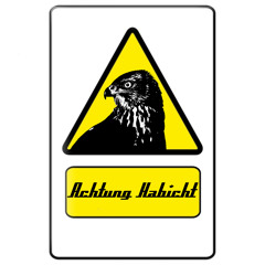 Wanna Dance Dubstep (PreMaster)