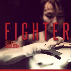 Fighter