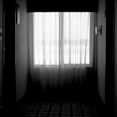 Rhizome - S W Curtains