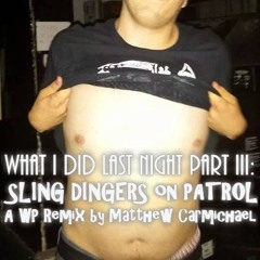What I Did Last Night Part III: Sling Dingers on Patrol
