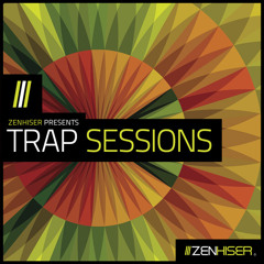 Trap Sessions - 530mb Of Incredible New Trap Sounds
