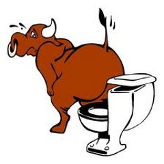 Bull Shit Club / Poplocking Track