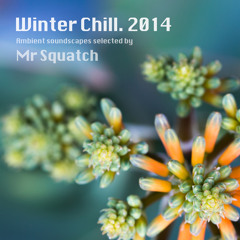 Winter Chill 2014 [DJ Mix]