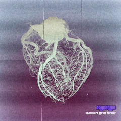 03 Somewhere Across Forever