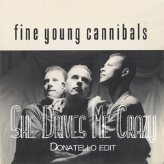 Fine Young Cannibals - She Drives Me Crazy (Donatello Edit) FREE download