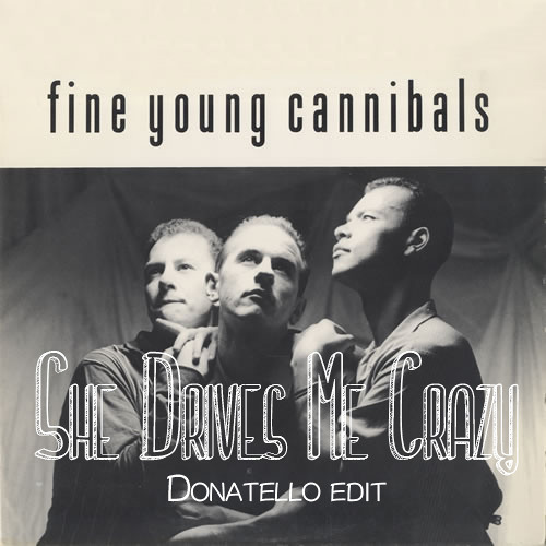 Stream Fine Young Cannibals - She Drives Me Crazy (Donatello Edit) FREE  download by Donatello Official | Listen online for free on SoundCloud