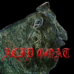 Acid Goat - Acid Goat EP - 03 Green Queen