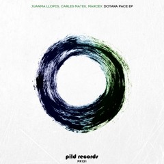 Juanma Llopis, Carles Mateu, Marcex - Look Overhead (Sami Wentz Dark Remix)