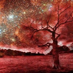 CECIL MAC PROMO MIX 06 08 14