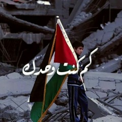 موال || حسرة عليك يا  بطل // بصوت #البراء_علي