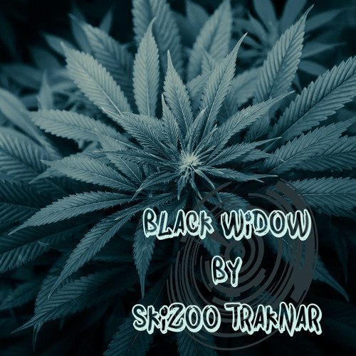 SkiZoO_TraKnaR - Black Widow [Raggajungle/Raggatek] - 2014 Artworks-000087855291-nnoi5b-t500x500