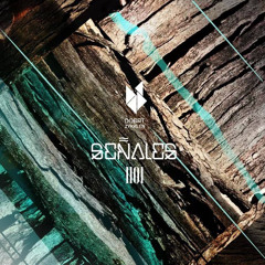 1101 - Second observation (Original mix)