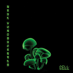 Mark Wundercastle - AC