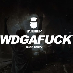 SPLITBREED & MUZZY - WDGAFUCK