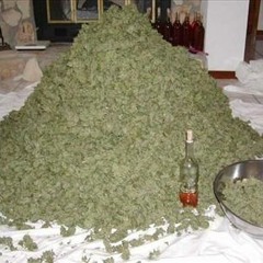 Rapsta Hennessy & Weed (Freestyle)